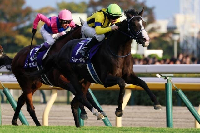 マスカレードボールが7・25キングジョージ参戦！手塚久師「体調アップ
