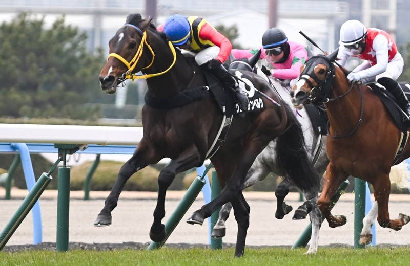 2026キングジョージ6世＆クイーンエリザベスステークス | JRA-VAN