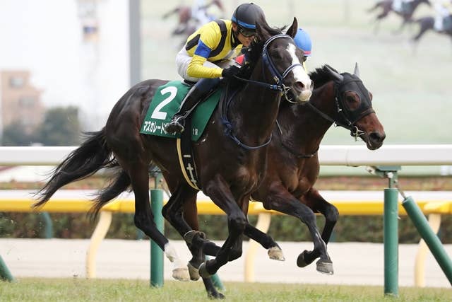 カランダガン（Calandagan） | 競馬データベース | JRA-VAN World