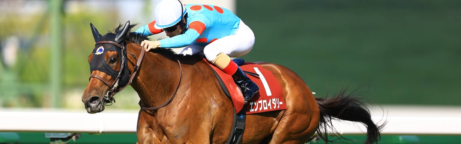 フランスギャロ<br>夏のG1挑戦馬たちを紹介