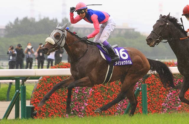 メイショウタバル（Meisho Tabaru） | 競馬データベース | JRA-VAN