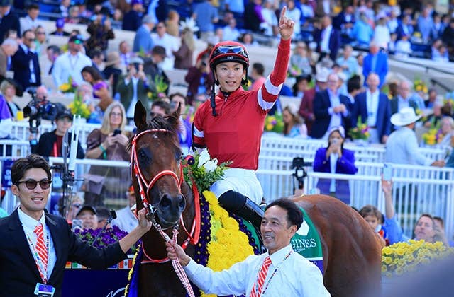 フォーエバーヤング（Forever Young） | 競馬データベース | JRA-VAN