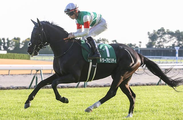 11月のバーレーンインターナショナルトロフィーがG1昇格！日本の札幌