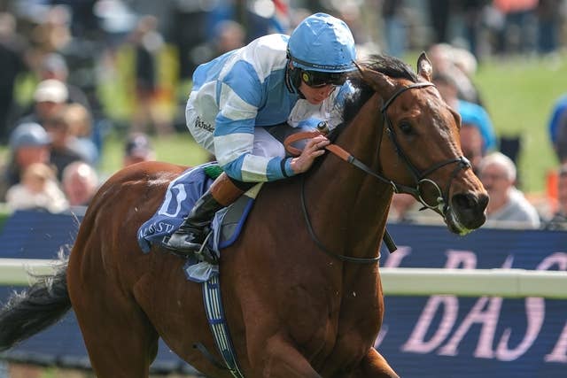 カランダガン（Calandagan） | 競馬データベース | JRA-VAN World