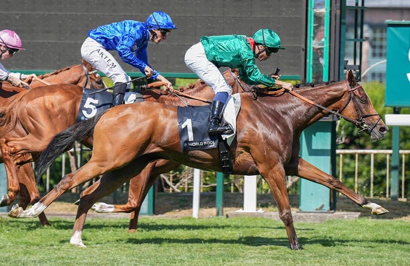 カランダガン（Calandagan） | 競馬データベース | JRA-VAN World