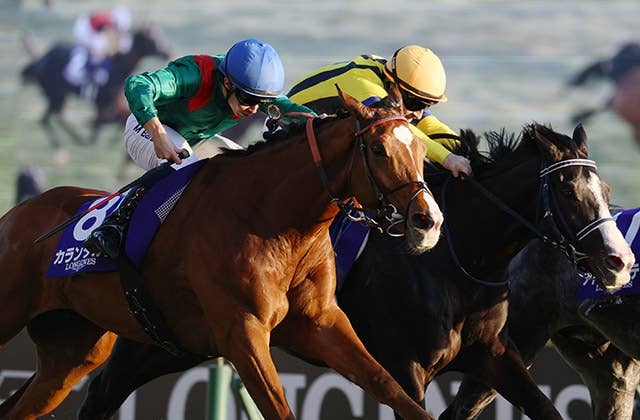 カランダガン（Calandagan） | 競馬データベース | JRA-VAN World
