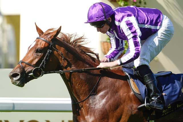 JRA-VAN World - 海外競馬情報サイト