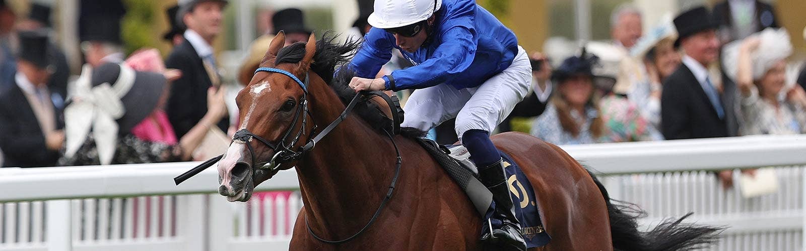 オンブズマンが首位タイへ浮上<br>最新世界ランキング