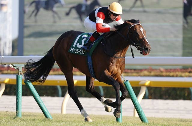 JRA-VAN World - 海外競馬情報サイト