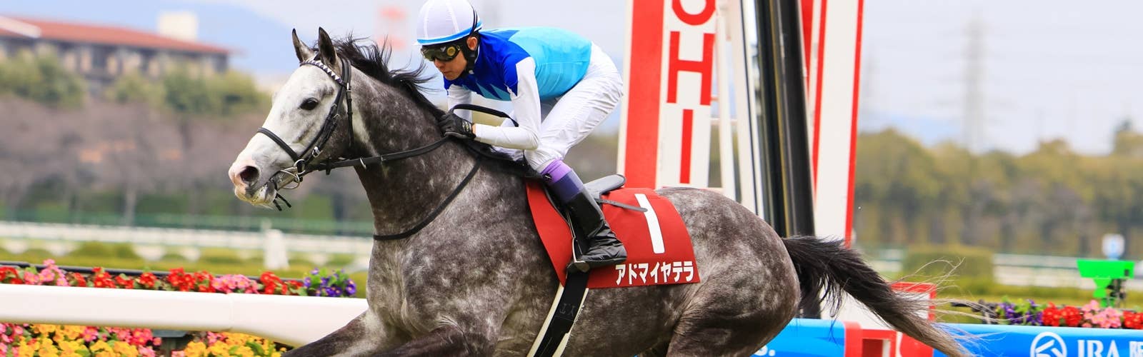 アドマイヤテラ凱旋門賞参戦へ<br>友道師「スタミナは生きてくる」