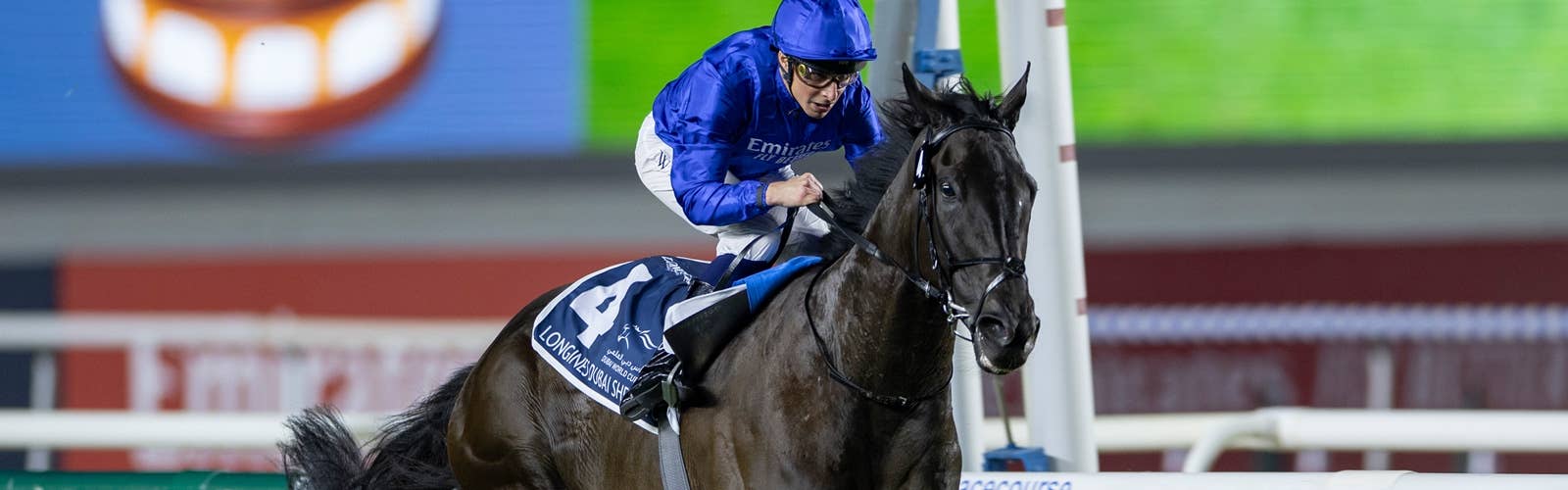 レベルスロマンスが引退<br>世界中を飛び回って重賞17勝