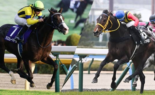 カランダガン（Calandagan） | 競馬データベース | JRA-VAN World