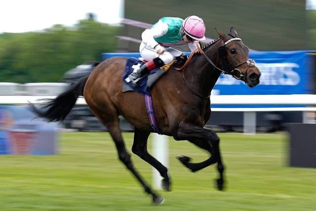 カランダガン（Calandagan） | 競馬データベース | JRA-VAN World