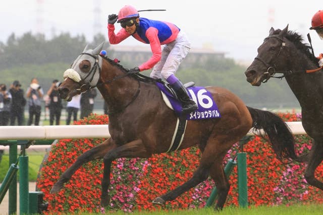 メイショウタバル（Meisho Tabaru） | 競馬データベース | JRA-VAN