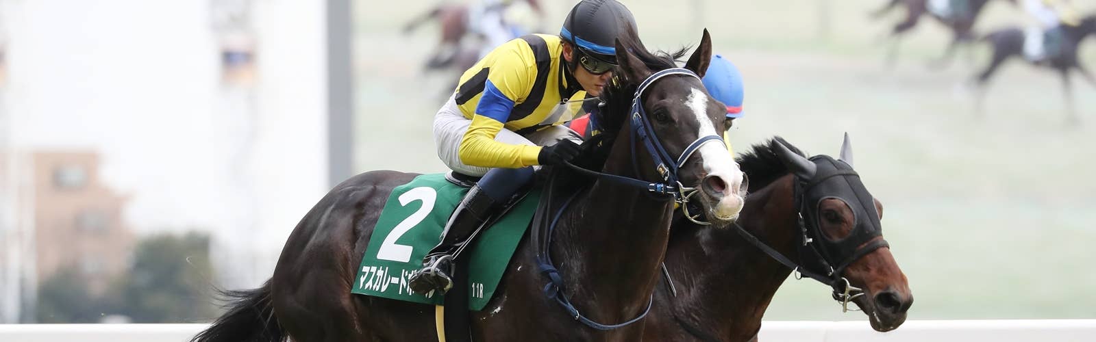 JRA-VAN World - 海外競馬情報サイト
