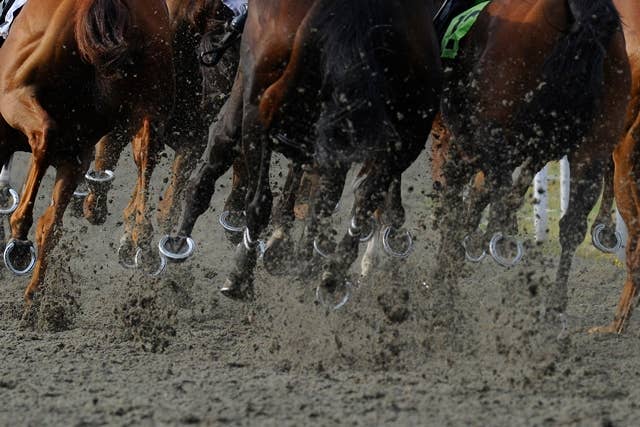 米競馬に大変革、3歳王者決定の新シリーズ発表 プリークネスSは含ま