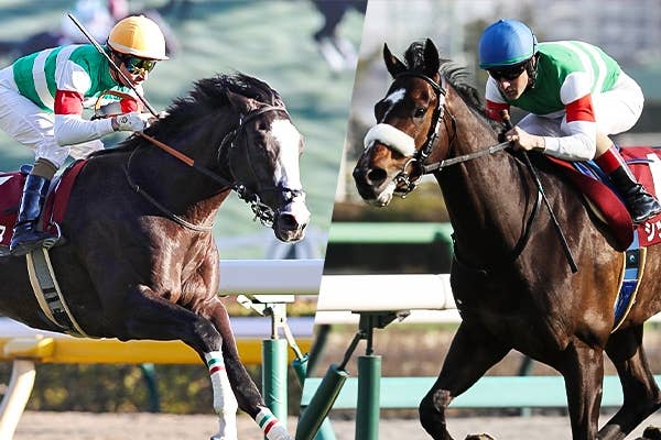 ロマンチックウォリアー（Romantic Warrior） | 競馬データベース
