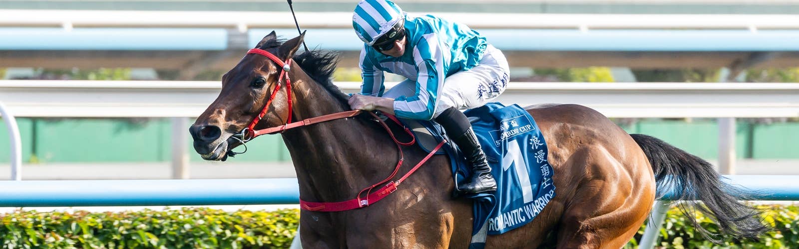 香港の英雄ロマンチックウォリアー<br>引退が決定、G1レースを15勝
