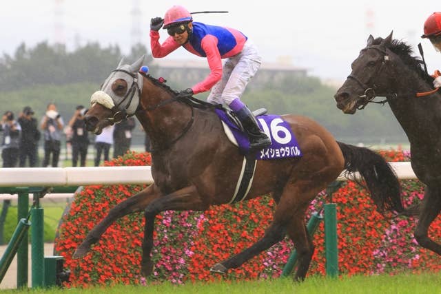 メイショウタバル　新馬戦　クイックピック馬券 6a9a8162-2ea4-494c-9656-