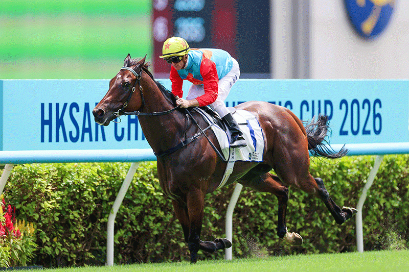 カーインライジング（Ka Ying Rising） | 競馬データベース | JRA-VAN