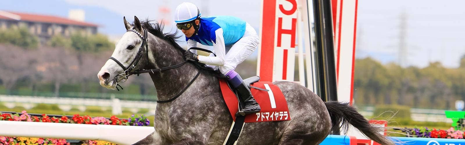 凱旋門賞参戦のアドマイヤテラ<br>C.デムーロ騎手が騎乗