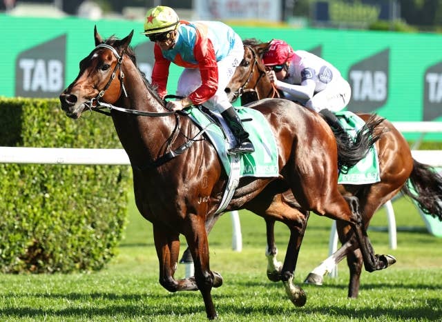カーインライジング（Ka Ying Rising） | 競馬データベース | JRA-VAN