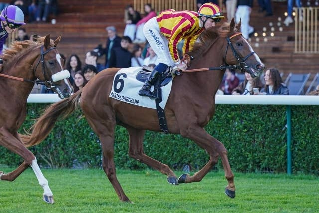 ブライトライト（Bright Light） | 競馬データベース | JRA-VAN World