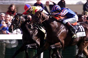 日本競馬の可能性を示したエルコンドルパサー