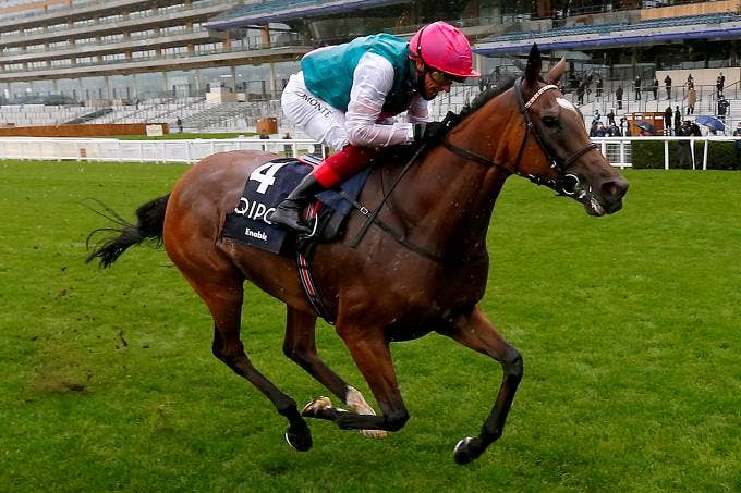 競馬 エネイブル | 注目馬 | 2020凱旋門賞 | JRA-VAN ver.World