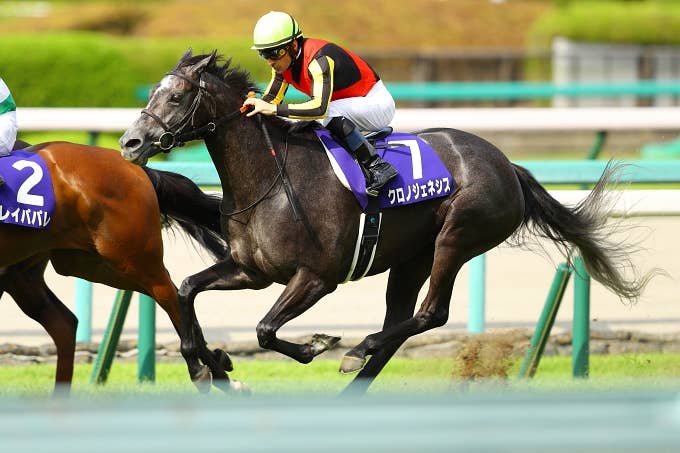 クロノジェネシス | 注目馬 | 2021凱旋門賞 | JRA-VAN ver.World