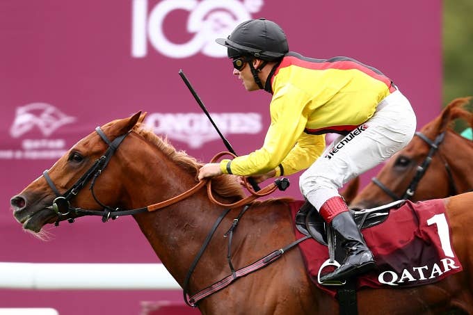 注目馬 | 2022凱旋門賞 | JRA-VAN ver.World 注目馬 | 2022凱旋門賞 | JRA-VAN ver.World