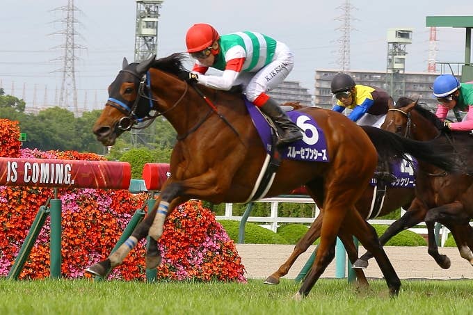 スルーセブンシーズ | 注目馬 | 2023凱旋門賞 | JRA-VAN World - 海外