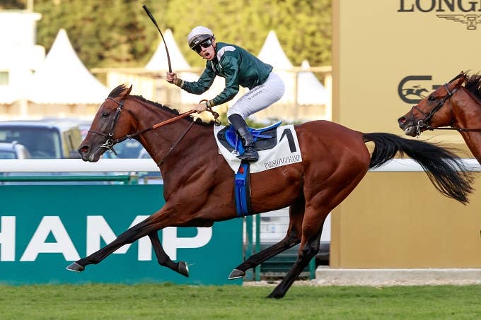 注目馬 | 2023凱旋門賞 | JRA-VAN World - 海外競馬情報サイト