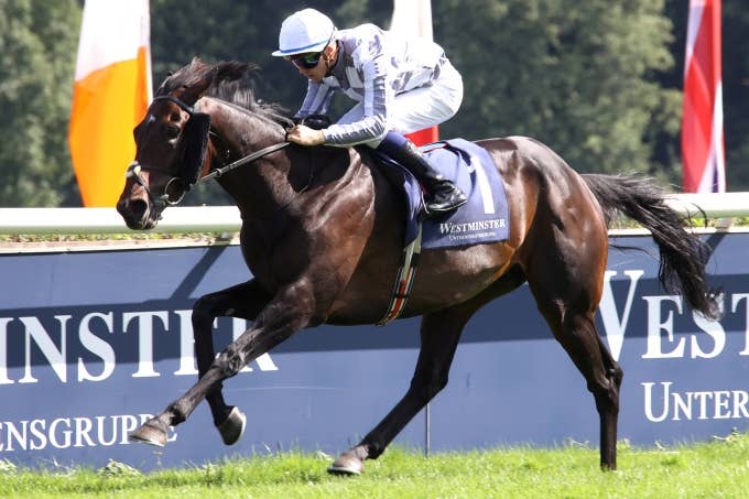 凱旋門賞2024】ゴール板前観戦チケット(主催者完売チケット)【海外競馬 