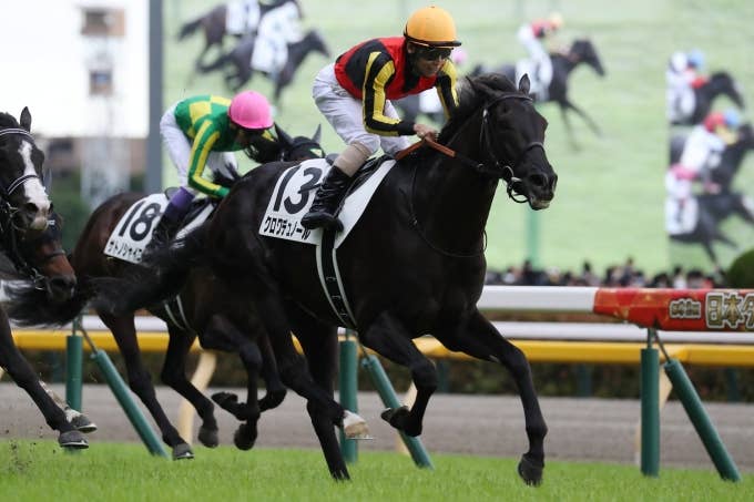 見どころ | 2025凱旋門賞 | JRA-VAN World - 海外競馬情報サイト