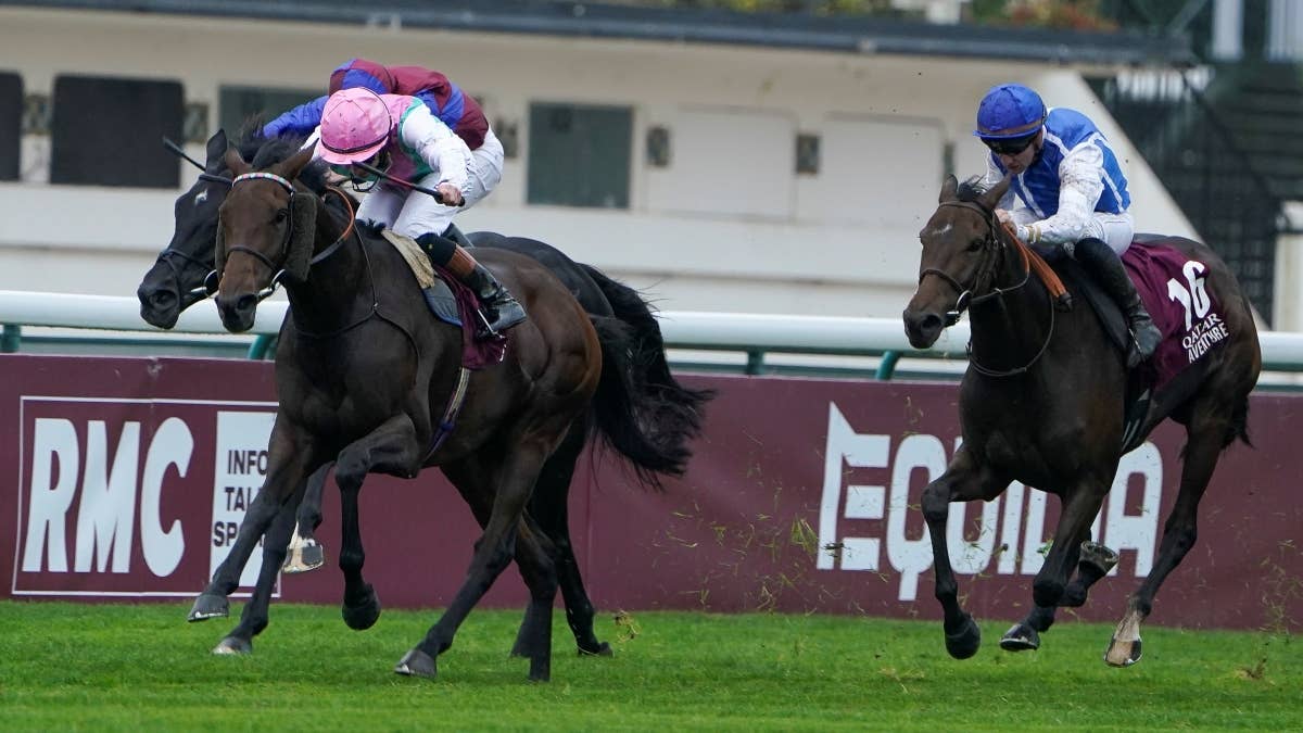 レース概要・過去結果 | 2025凱旋門賞 | JRA-VAN World - 海外