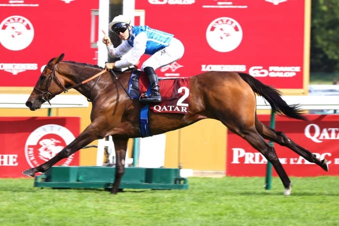 見どころ | 2025凱旋門賞 | JRA-VAN World - 海外競馬情報サイト