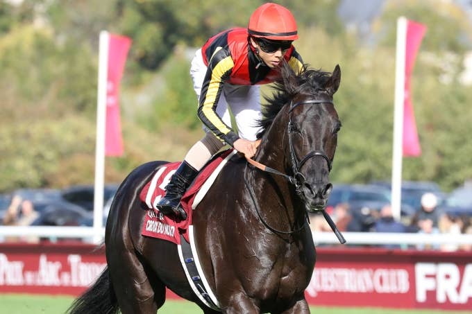 石*幸様 キズナ 絆 競馬 ブルゾン 非売品 厩舎 JRA 武豊 凱旋門賞 石*幸様 キズナ 絆 競馬 ブルゾン 非売品 厩舎 JRA 武豊 凱旋門賞 2025