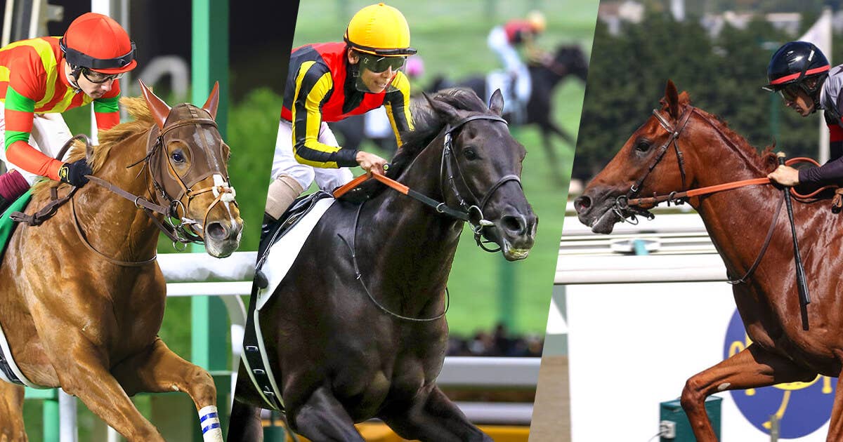 2025凱旋門賞 | JRA-VAN World - 海外競馬情報サイト