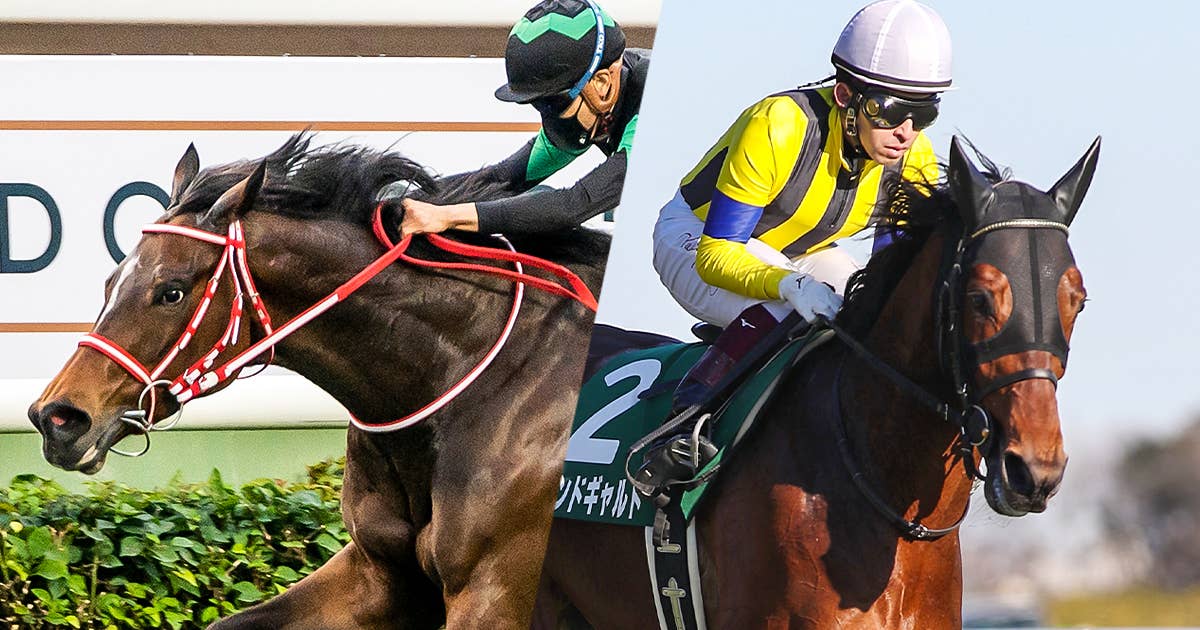 見どころ 21ブリーダーズカップマイル Jra Van Ver World