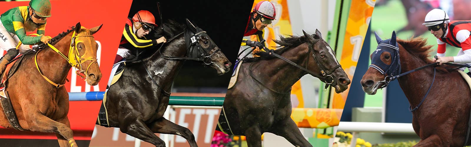 2023ブリーダーズカップ | JRA-VAN World - 海外競馬情報サイト