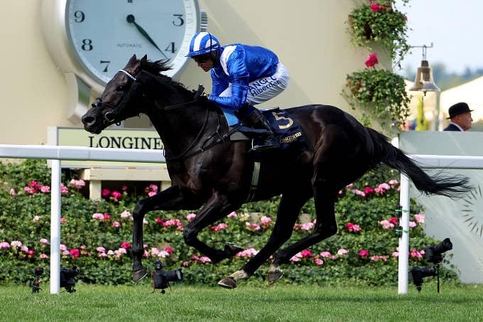 注目馬 | 2023ブリーダーズカップターフ | JRA-VAN World - 海外競馬