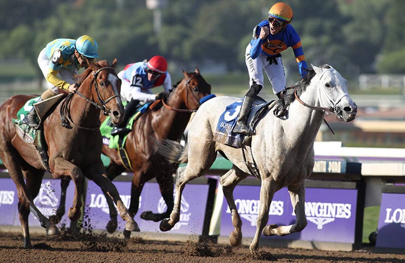 scc24 サイモンカーター カフリンクス ブラウン シャーガー/競走馬/競馬 scc24 サイモンカーター カフリンクス ブラウン シャーガー/競走