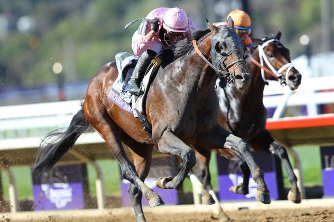 見どころ | 2025ブリーダーズカップクラシック | JRA-VAN World - 海外