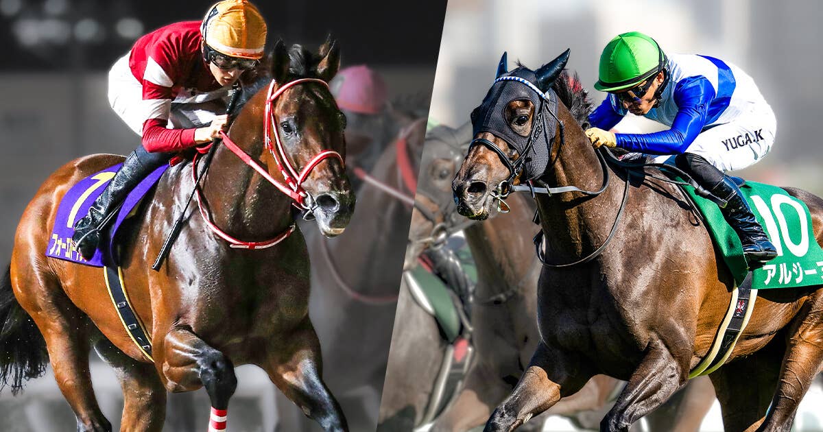 2025ブリーダーズカップクラシック | JRA-VAN World - 海外競馬情報サイト