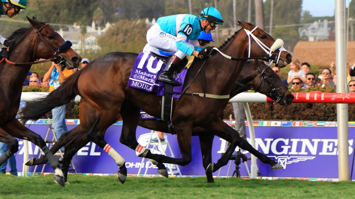 レース概要・過去結果 | 2025ブリーダーズカップフィリー＆メアターフ