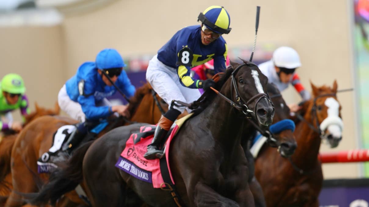 レース概要・過去結果 | 2025ブリーダーズカップマイル | JRA-VAN