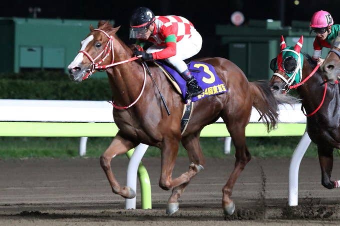 ジャスティン 注目馬 21ドバイゴールデンシャヒーン Jra Van Ver World