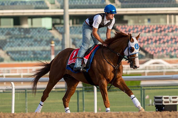 競馬　　ゴドルフィン　ドバイワールドカップ 結果 | 2025ゴドルフィンマイル | JRA-VAN World - 海外競馬情報