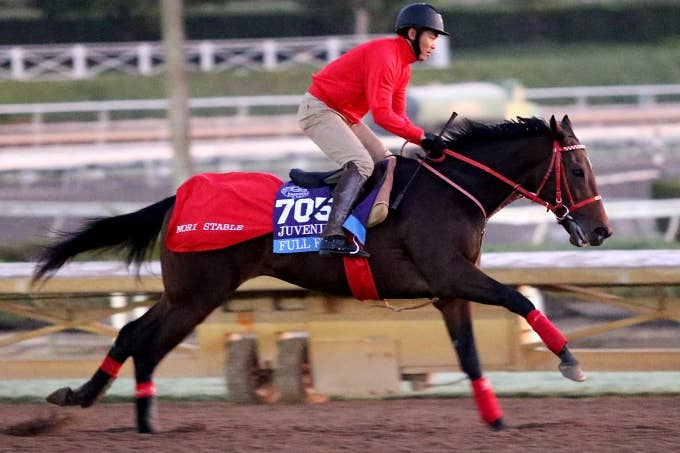 2022ゴドルフィンマイル | JRA-VAN ver.World
